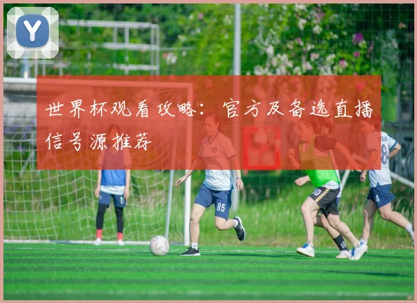 世界杯观看攻略:官方及备选直播信号源推荐